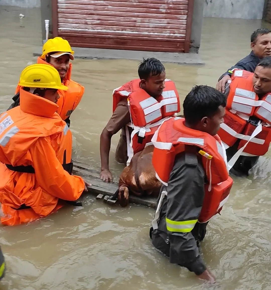 Disaster Management & Relief Initiative